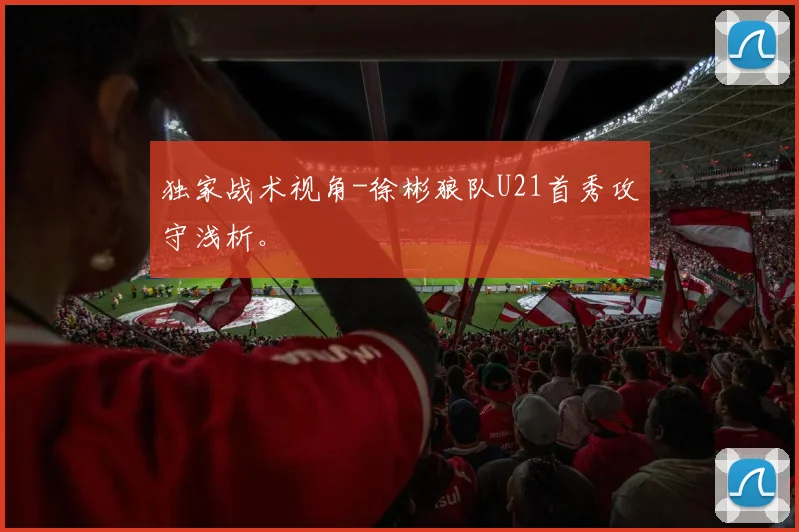 独家战术视角-徐彬狼队U21首秀攻守浅析。