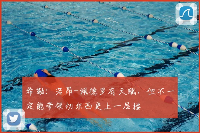 希勒：若昂-佩德罗有天赋，但不一定能带领切尔西更上一层楼