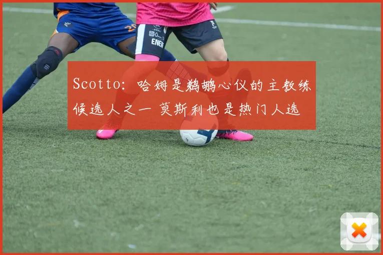 Scotto：哈姆是鹈鹕心仪的主教练候选人之一 莫斯利也是热门人选